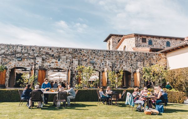 Jacuzzi Family Vineyards by null