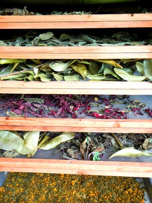 Kauai Farmacy by null