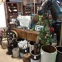 Photo of Carlisle Antiques & More