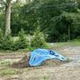 Photo of The Mulch Connection