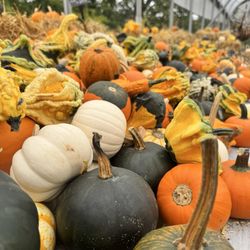 Dedrick’s Farm Market