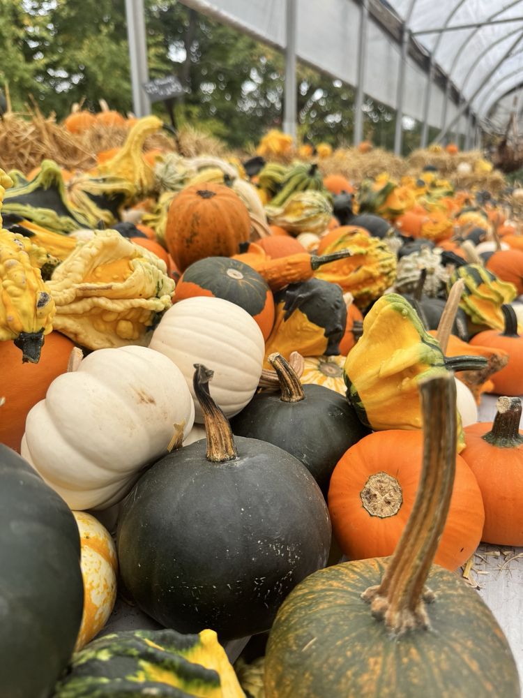 Dedrick’s Farm Market Logo