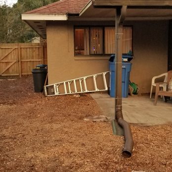 Call4treework - After the tree was removed you couldn't tell it was ever there.  Bob left it completely clean. - Tree Services Near Me - Tampa Bay, Florida