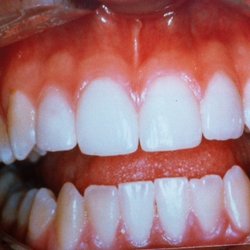 Mann, S C, DDS - Dentist