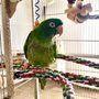 Indian Prairie Animal Hospital