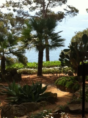 Jardíns de Cap Roig by null