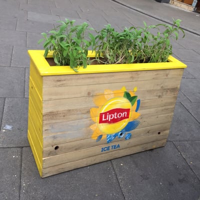 Angel Central by null