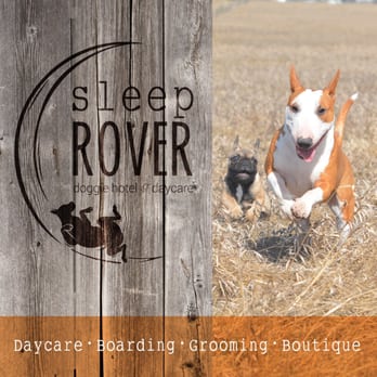 Sleep Rover - Sleep Rover Doggie Hotel & Daycare - minutes from downtown and the airport! - Pet Sitting Near Me - Calgary, Alberta Sleep Rover - Sleep Rover Doggie Hotel & Daycare - minutes from downtown and the airport! - Pet Sitting Near Me - Calgary, Alberta