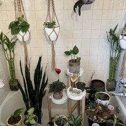 Anika Love Yoga - Amazing bathroom!!!