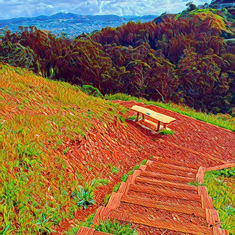 Glen Canyon Park - Glen Canyon Park - Parks Near Me - San Francisco, California Glen Canyon Park - Glen Canyon Park - Parks Near Me - San Francisco, California