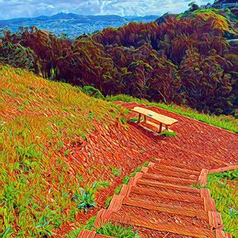 Glen Canyon Park - Glen Canyon Park - Parks Near Me - San Francisco, California Glen Canyon Park - Glen Canyon Park - Parks Near Me - San Francisco, California