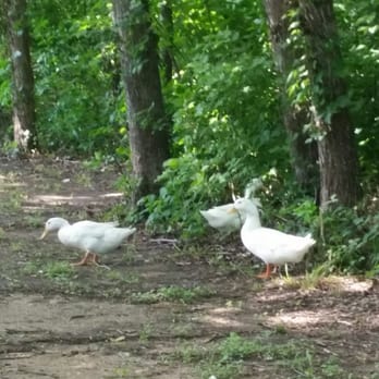 Centennial Park - Parks Near Me - Irving, Texas