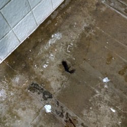 Mokelumne Beach Resort RV Park - Hair on the bathroom shower floor for over a week.
