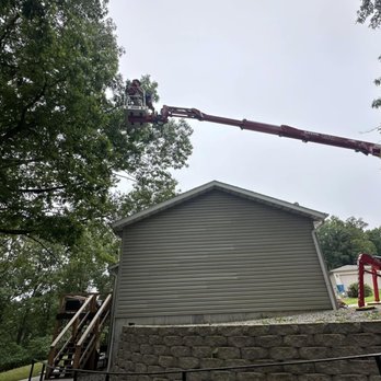 Advanced Arbor Professional Tree Care - Tree Services Near Me Advanced Arbor Professional Tree Care - Tree Services Near Me