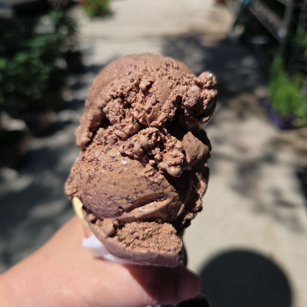 Toby's Homemade Ice Cream - Ice Cream & Frozen Yogurt Near Me - Arlington, Virginia Toby's Homemade Ice Cream - Ice Cream & Frozen Yogurt Near Me - Arlington, Virginia