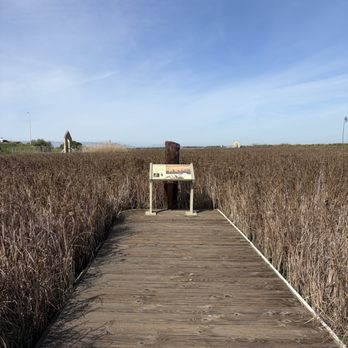 Alviso Marina County Park - Parks Near Me - Alviso, California