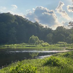 Ferdinand State Forest