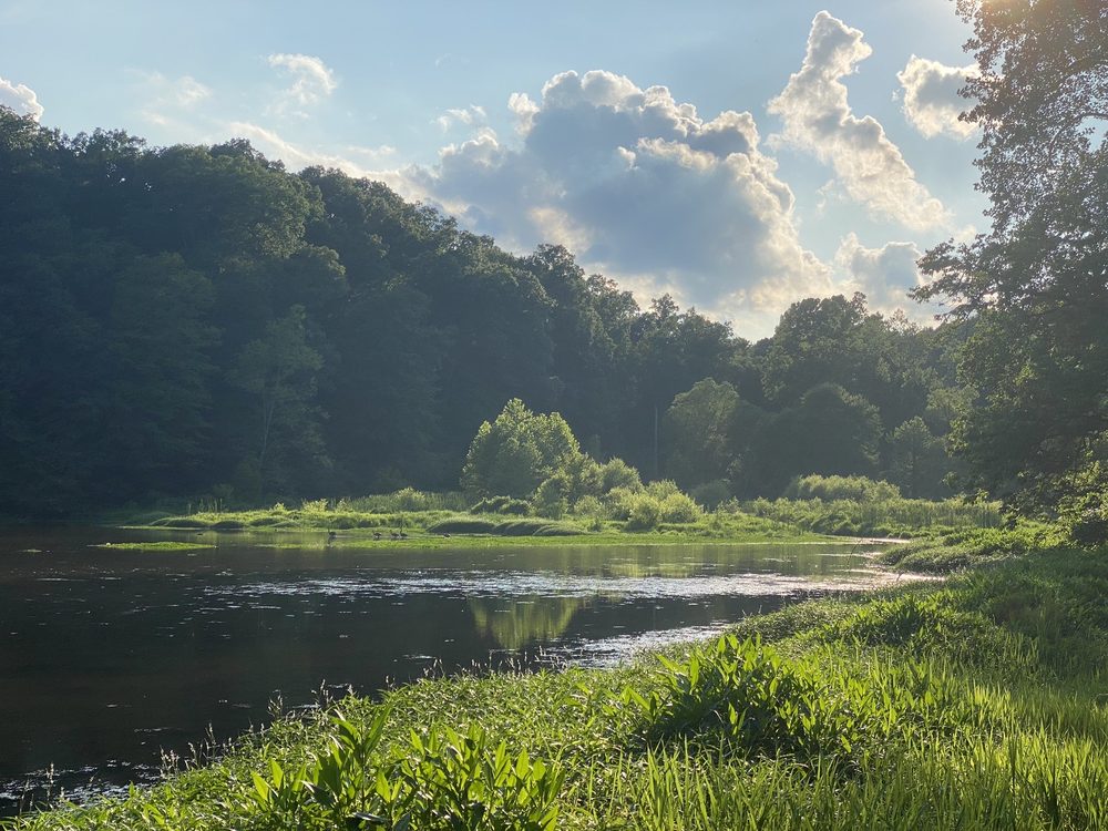 FERDINAND STATE FOREST Updated September 2024 6583 E State Rd 264