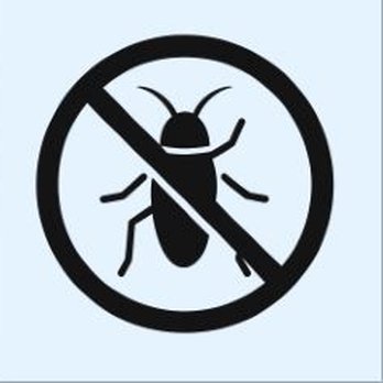 Best Pest Control Service - Pest Control Near Me Best Pest Control Service - Pest Control Near Me
