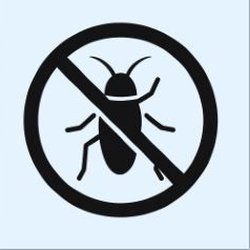Best Pest Control Service
