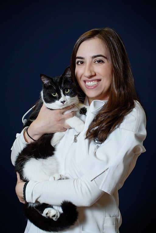 HÔPITAL VÉTÉRINAIRE STLAZARE Updated September 2024 12 Photos