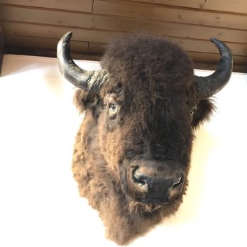 Fort Vasquez Museum - Museums Near Me - Platteville, Colorado Fort Vasquez Museum - Museums Near Me - Platteville, Colorado