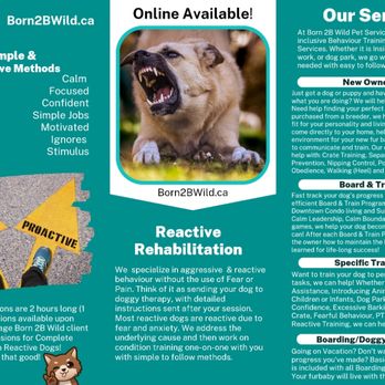 Born 2B Wild - Inside of brochure - Pet Training Near Me Born 2B Wild - Inside of brochure - Pet Training Near Me