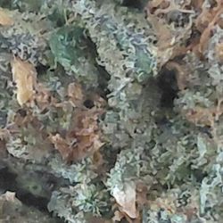 Clear Choice Cannabis - Trust Flower