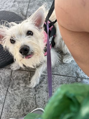 Sea Harvest Fish Market & Restaurants by null