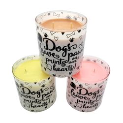 Sunset Scents - Cinnamon Sugar Donut - Dog Days 16oz Scented Candle
Buttery notes of Sweet Dough, Maple Syrup, Cinnamon & Sweet Vanilla