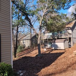 Spaulding Tree Service - Starting the job