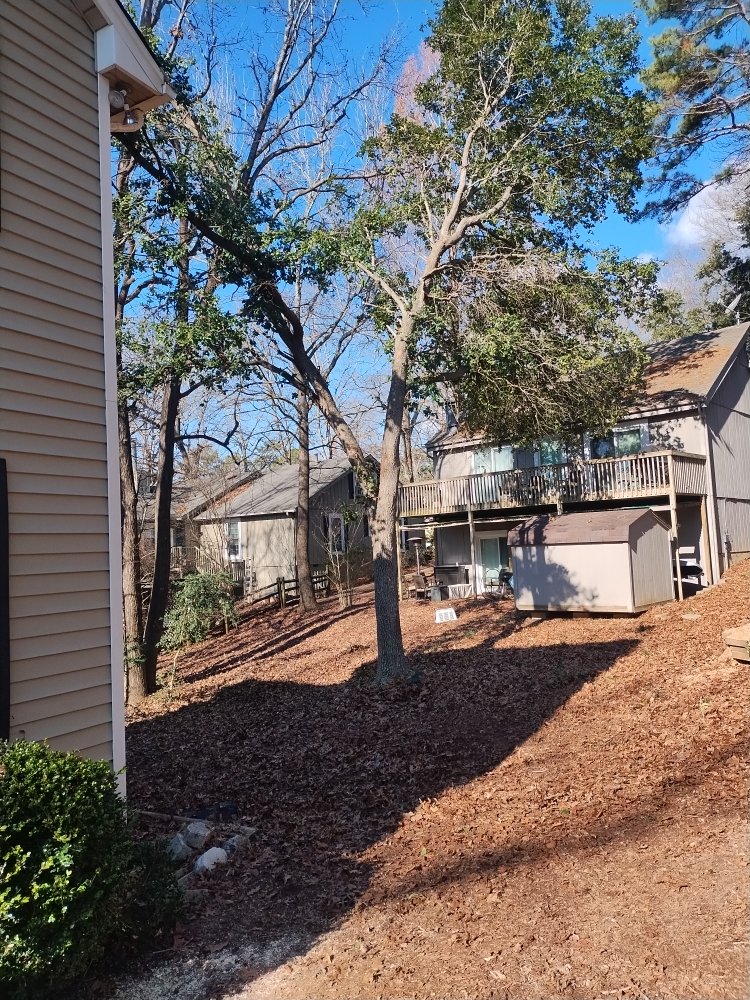 Spaulding Tree Service - tree service in Charlotte, NC