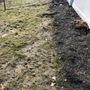 Photo of Crescio Landscaping