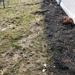 Crescio Landscaping - undefined