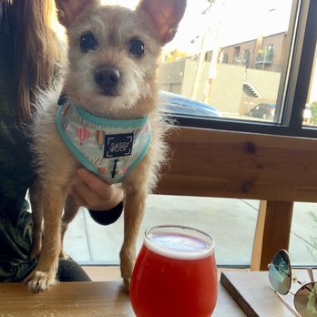 Burning Bush Brewery - Breweries Near Me - Chicago, Illinois