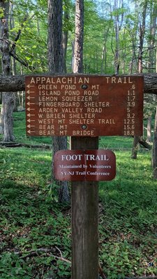 Harriman State Park by null
