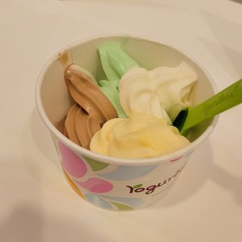 Yogurtland - Chocolate/Vanilla Twist, St Patrick's Day Mint, Mango, Coconut - Ice Cream & Frozen Yogurt Near Me - Fremont, California Yogurtland - Chocolate/Vanilla Twist, St Patrick's Day Mint, Mango, Coconut - Ice Cream & Frozen Yogurt Near Me - Fremont, California