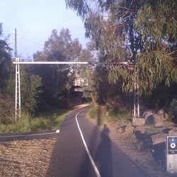 Royal Park - Bike Path