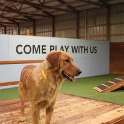 The Pet Ranch