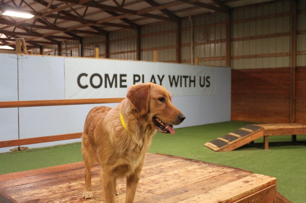 THE PET RANCH Updated September 2024 85 Photos & 34 Reviews 12700