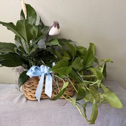 Blumen Meisters Flower Market - A garden basket worth plants and a bird "memory token".