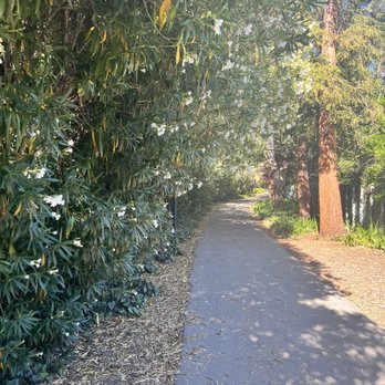 McKenzie Park - Parks Near Me - Los Altos, California