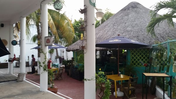 Kiosco Verde by null