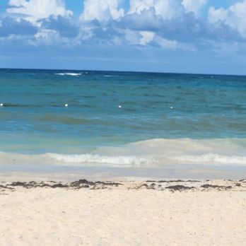 Brian Wilkinson - Dream Vacations - Travel Agents Near Me Brian Wilkinson - Dream Vacations - Travel Agents Near Me