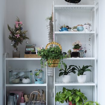 Minimizing Organizer - Home Organization Near Me Minimizing Organizer - Home Organization Near Me