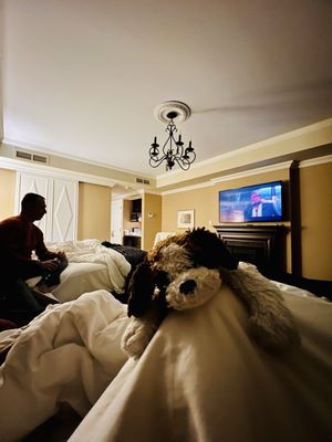 Oak Bay Beach Hotel by null