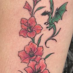 Gladiolus with green dragon