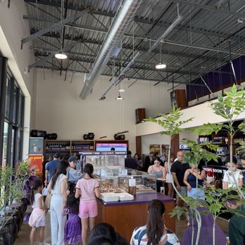 Smoking Tiger Bread Factory - large lobby space with seating - Cafes Near Me - Carrollton, Texas Smoking Tiger Bread Factory - large lobby space with seating - Cafes Near Me - Carrollton, Texas