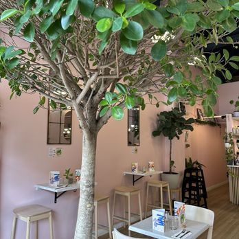 Loam Bistro - Inside - IG @bougiefoodieboi - Bistros Near Me - North Vancouver, British Columbia Loam Bistro - Inside - IG @bougiefoodieboi - Bistros Near Me - North Vancouver, British Columbia