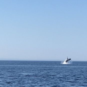 Puget Sound Express - Boat Charters Near Me - Port Townsend, Washington
